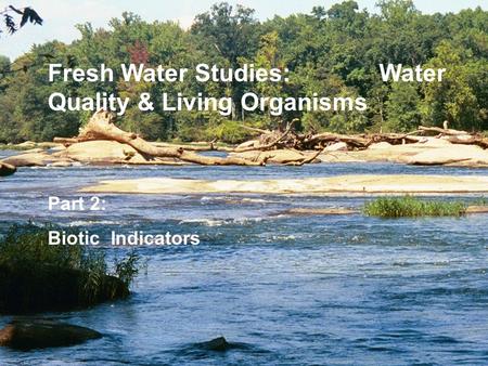 Part 2: Biotic Indicators Fresh Water Studies: Water Quality & Living Organisms.