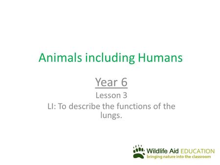 Animals including Humans Year 6 Lesson 3 LI: To describe the functions of the lungs.