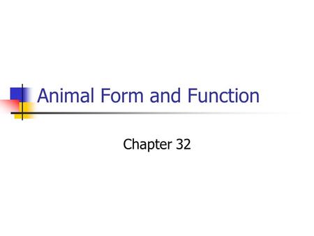 Animal Form and Function Chapter 32. What you need to know! The characteristics of animals. The stages of animal development How to sort the animal phyla.