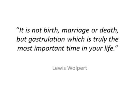 “It is not birth, marriage or death, but gastrulation which is truly the most important time in your life.” Lewis Wolpert.