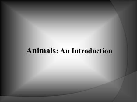 Animals : An Introduction. Characteristics of Animals  All are multicellular  All are heterotrophic  Most are motile, (can move), at least some part.
