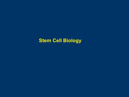 Stem Cell Biology. Stem Cell The capacity of both self renewal and to generate differentiated progeny Byron Whites, US Supreme Court “ It’s hard to define,