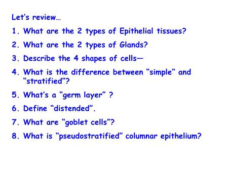 Let’s review… 1.What are the 2 types of Epithelial tissues? 2.What are the 2 types of Glands? 3.Describe the 4 shapes of cells— 4.What is the difference.