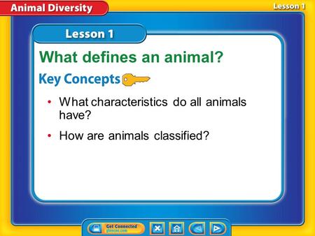 Lesson 1 Reading Guide - KC What characteristics do all animals have? How are animals classified? What defines an animal?