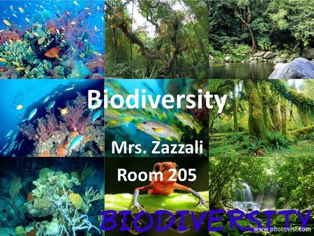 Biodiversity Mrs. Zazzali Room 205. Lesson 1- What are organisms? Class consensus-period 1 What are organisms? AliveMoves GrowsReproduces DiesHas to eat.