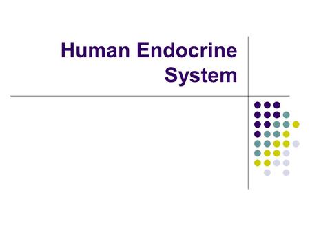 Human Endocrine System. Endocrine Overview Hormones- chemical messengers travel through body Target cell or organ- organ or cells that a hormone affects.