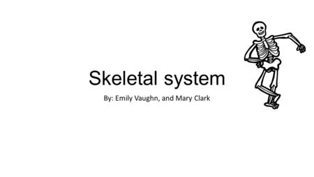 Skeletal system By: Emily Vaughn, and Mary Clark.