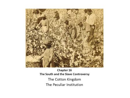 Chapter 16 The South and the Slave Controversy The Cotton Kingdom The Peculiar Institution.