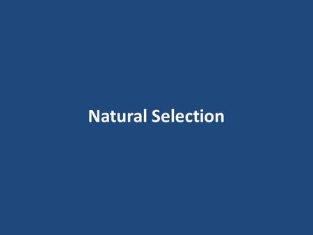 Natural Selection. The members of a species that live in a specific area are known as a _____________. population.