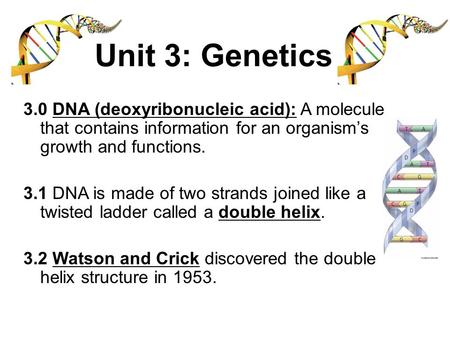 Unit 3: Genetics 3.0 DNA (deoxyribonucleic acid): A molecule that contains information for an organism’s growth and functions. 3.1 DNA is made of two strands.