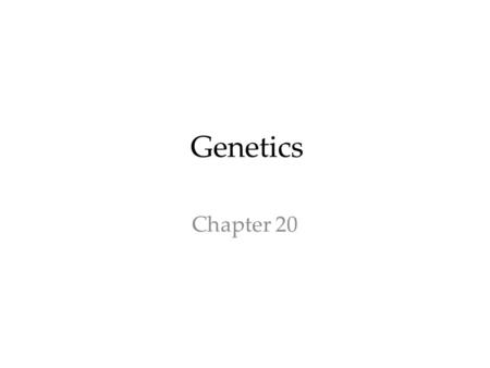 Genetics Chapter 20. Genetics  Study of HEREDITY  Traits that are passed from parent  offspring  Sexual Repro.  2 parents, offspring is a combo.