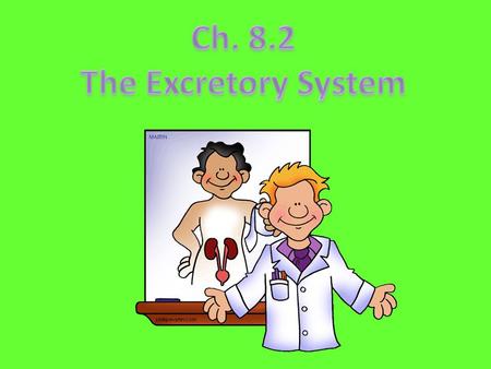Ch. 8.2 The Excretory System.