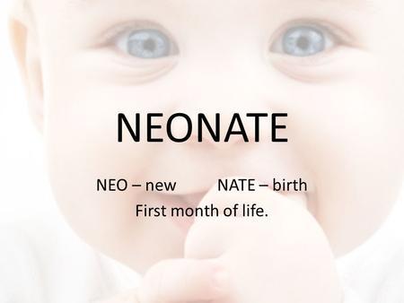 NEONATE NEO – newNATE – birth First month of life.