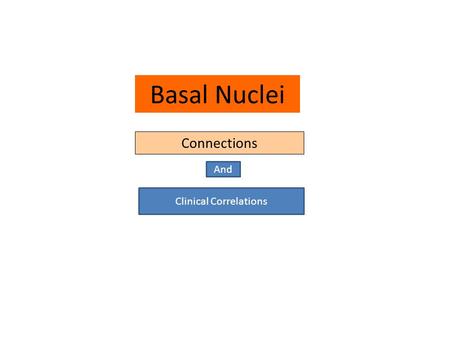 Basal Nuclei Connections And Clinical Correlations.