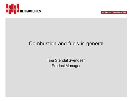 Combustion and fuels in general Tina Stendal Svendsen Product Manager.
