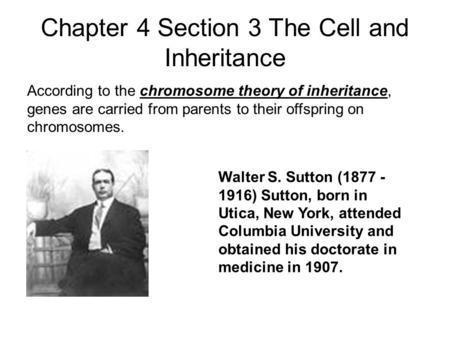 Chapter 4 Section 3 The Cell and Inheritance
