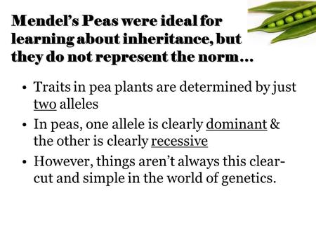 Mendel’s Peas were ideal for learning about inheritance, but they do not represent the norm… Traits in pea plants are determined by just two alleles In.