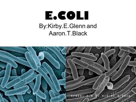 E.COLI By:Kirby.E.Glenn and Aaron.T.Black. What Escherichia coli, also known as E. coli is a bacterium that is commonly found in the gut of endotherms.