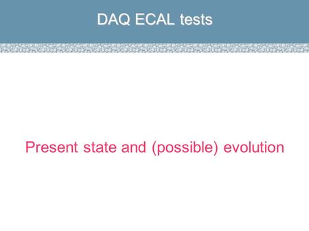 Present state and (possible) evolution DAQ ECAL tests.