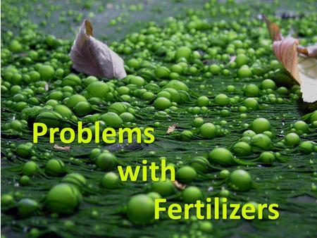 Problems with Fertilizers.