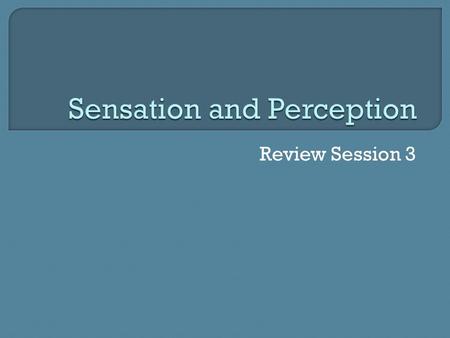 Review Session 3.  Sensation- activation of our senses  Perception- understanding these sensations  Transduction- information received by our sensory.