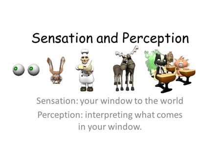 Sensation and Perception Sensation: your window to the world Perception: interpreting what comes in your window.