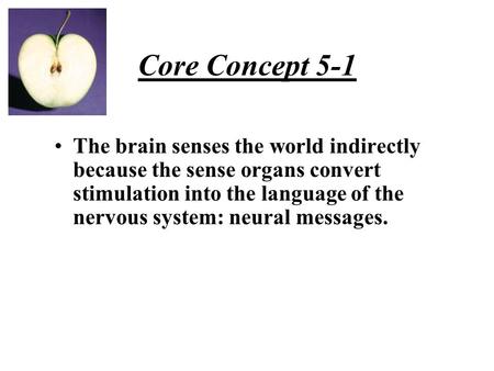 Core Concept 5-1 The brain senses the world indirectly because the sense organs convert stimulation into the language of the nervous system: neural messages.