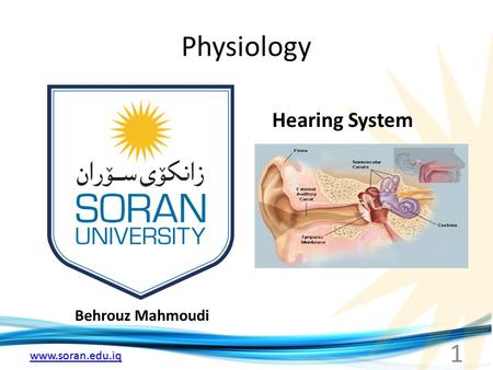 Www.soran.edu.iq Physiology Behrouz Mahmoudi Hearing System 1.