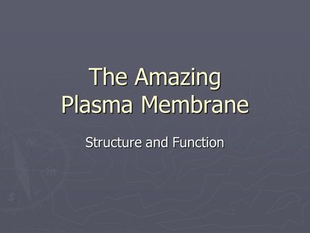 The Amazing Plasma Membrane Structure and Function.