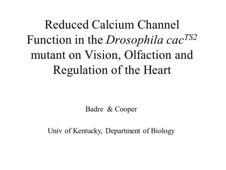 Badre & Cooper Reduced Calcium Channel Function in the Drosophila cac TS2 mutant on Vision, Olfaction and Regulation of the Heart Univ of Kentucky, Department.