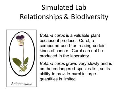 Simulated Lab Relationships & Biodiversity Botana curus is a valuable plant because it produces Curol, a compound used for treating certain kinds of cancer.