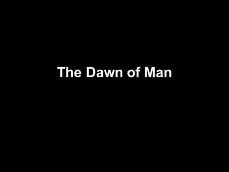 The Dawn of Man. Geologic Timeline: Geography Earth: 6 Billion Years Old Pangea: Super continent-1st land mass.