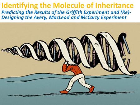 Identifying the Molecule of Inheritance