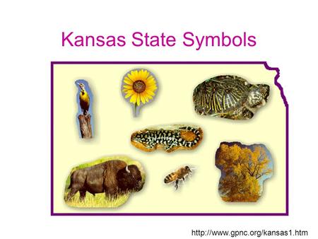 Kansas State Symbols