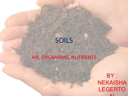 SOILS AIR, ORGANISMS, NUTRIENTS BY : NEKAISHA LEGERTO N.