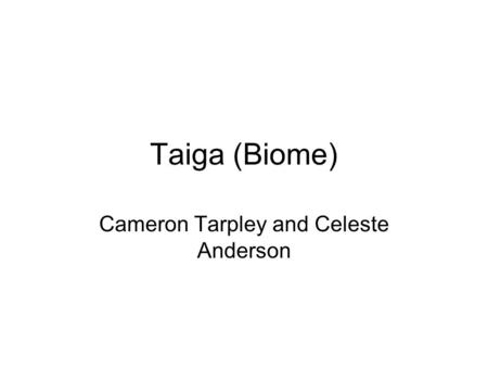 Taiga (Biome) Cameron Tarpley and Celeste Anderson.