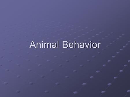 Animal Behavior. Behavior is the way an organism reacts to changes in its internal condition or external environment. A stimulus is any kind of signal.