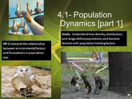 4.1- Population Dynamics [part 1] SPI 2 Interpret the relationship between environmental factors and fluctuations in population size. Goals: Understand.