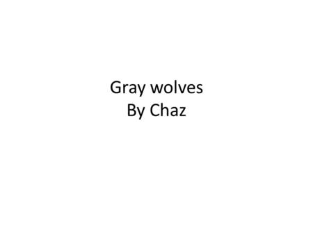 Gray wolves By Chaz.