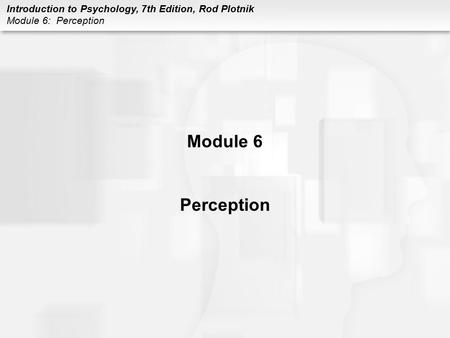 Module 6 Perception.