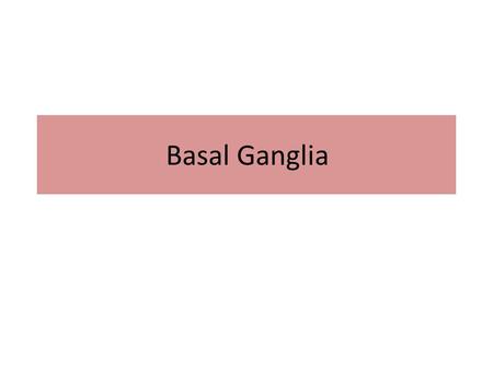 Basal Ganglia.