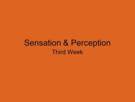 Sensation & Perception Third Week. How we see, hear, taste, and smell things, it requires that the mind actively process the information it receives.