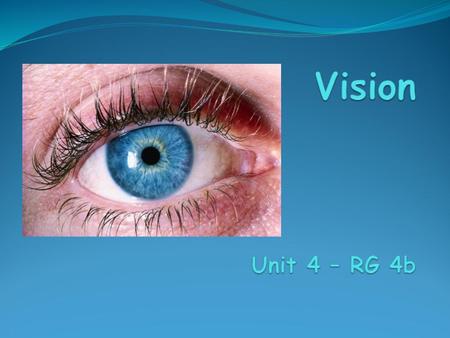 The Eye contains visual sensory receptors focuses light on the retina