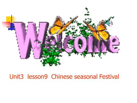 Unit3 lesson9 Chinese seasonal Festival Spring Festival.