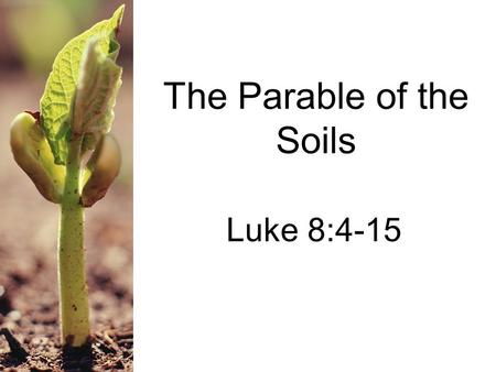 The Parable of the Soils Luke 8:4-15. Blake on Alleluia Ranch (Vacation Bible School set)
