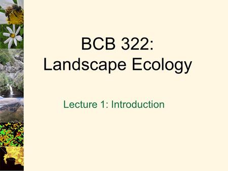 BCB 322: Landscape Ecology Lecture 1: Introduction.
