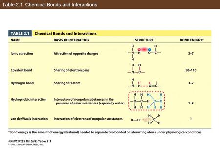 Table 2.1 Chemical Bonds and Interactions. In-Text Art, Ch. 2, p. 19.