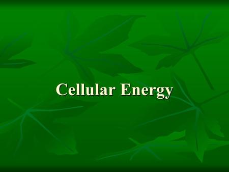 Cellular Energy. Objectives Students will review plant/ animal cells and prokaryote/eukaryote Students will review plant/ animal cells and prokaryote/eukaryote.