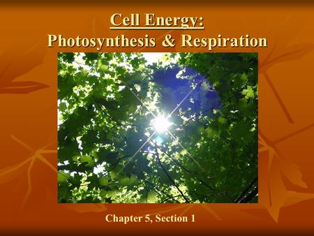 Cell Energy: Photosynthesis & Respiration Chapter 5, Section 1.