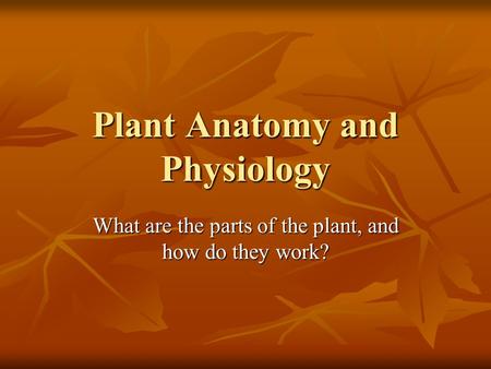 Plant Anatomy and Physiology What are the parts of the plant, and how do they work?